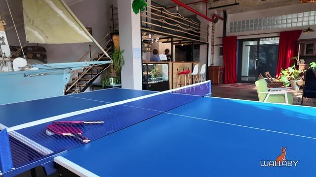 Краткий обзор теннисного стола Wallaby R280