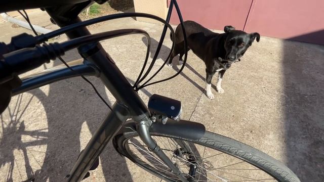 Trek FX 2 Disc Equipped   2022