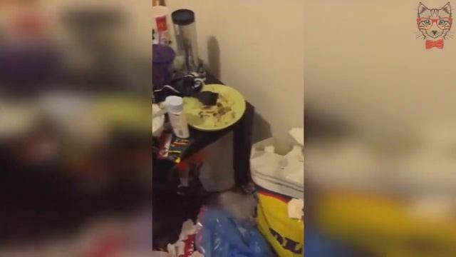 Сьёмная квартира студентки ... ЖЕСТЬ )))))) смотреть онлайн