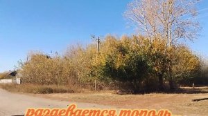 п.Темп