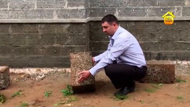 Качество арболита смотреть онлайн