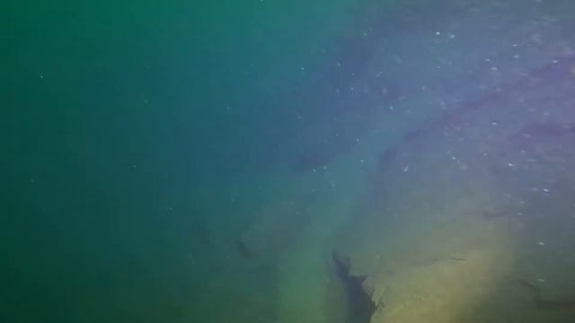 Если включить свет. Марганец 2020-10-31 смотреть онлайн