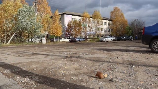 Заводская (часть 2) #PRO.Пестово смотреть онлайн