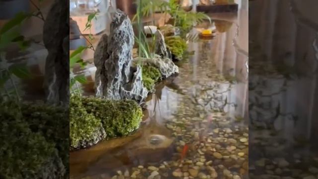 дизайнерская мебель, двери межкомнатные, межкомнатные двери, дверь, двери, массив дуба смотреть онлайн