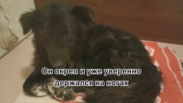 18 февраля 2024 г. смотреть онлайн