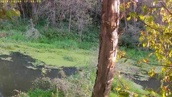 ОХОТА КАК ЕСТЬ