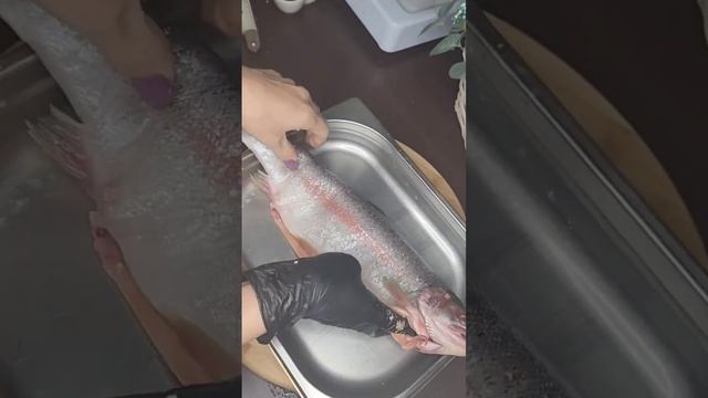 Азербайджанское блюдо ляванги из рыбы#рекфорельорехи#foodлявангиизрыбы#shortsазербайджанскоеблюдо смотреть онлайн