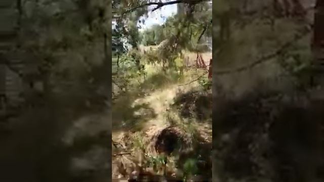 №279063 - Л.О. Волховский р-н, дер.Немятово-2, ул. Дачная ул., 20 смотреть онлайн