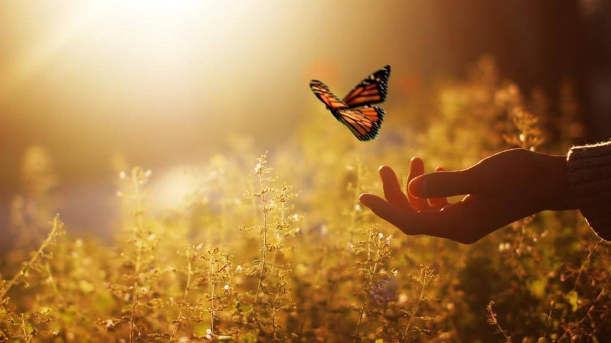 улыбка сына смотреть онлайн