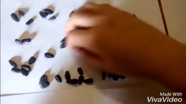 Моя магия!Хаха смотреть онлайн