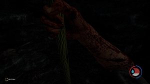 ГДЕ НАЙТИ КАТАНУ И ФОНАРИК В ИГРЕ - THE FOREST??