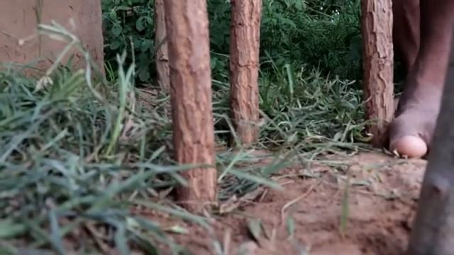 Шок!!! Самодельный Замок для питомца с бассейном для рыб смотреть онлайн