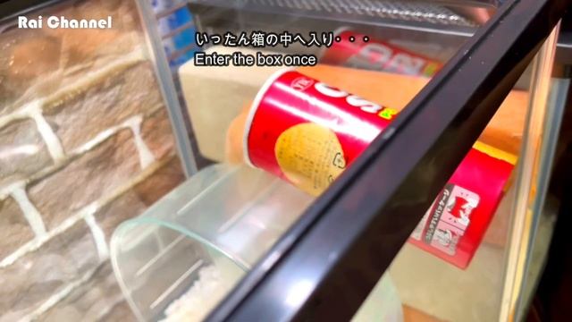 脱走を妨害したら！攻略方法がすごかった賢いゴールデンハムスター смотреть онлайн