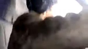 БАБУЛЯ И ИНСТРУКТОР / УГАР!!! Железные нервы инструктора по вождению