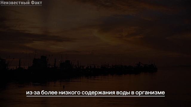 Лучшие психологические факты о женской психологии смотреть онлайн