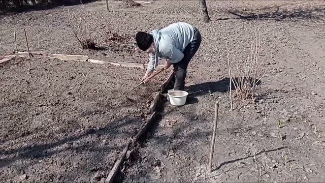 Весенний день на даче. смотреть онлайн