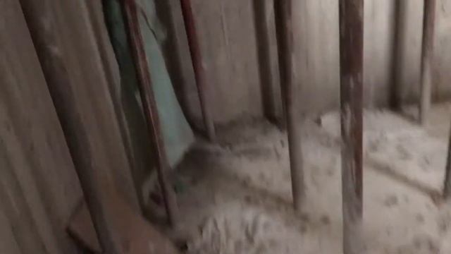 Израиль строительство дома #13 смотреть онлайн
