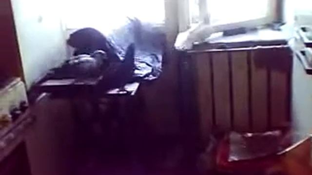 Голубиные бои на кухне смотреть онлайн