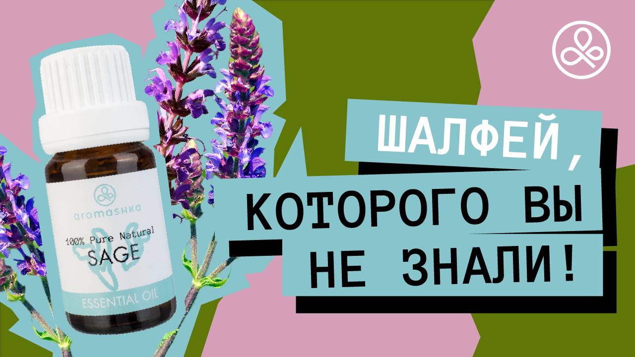 Масло шалфея: свойства и применение смотреть онлайн