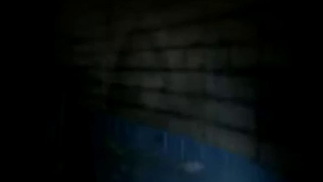 Настя фонарик=).mpg смотреть онлайн