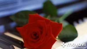 (11)... слушаю _Дорожное радио_...