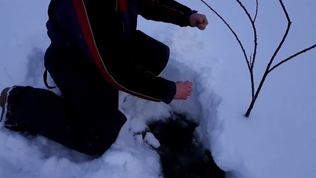 Рыбалка.  О таком трофее можно только мечтать