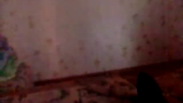 ,кошачки собачки на канале карусель смотреть онлайн