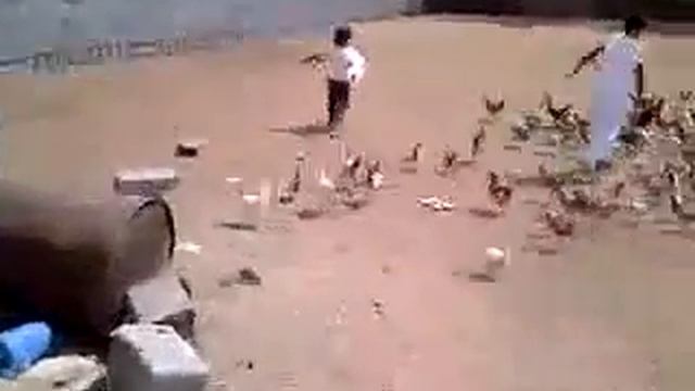 حرب بربري طد ملك هههههه كلاش اوف كلانس смотреть онлайн