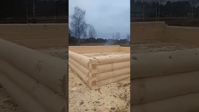 дом в в лапу, полулафет 9 на 10 смотреть онлайн