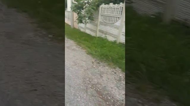 Прогулка с Николь🌸🌺🌹 смотреть онлайн
