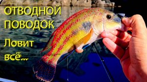 🔥 От ГОРБЫЛЯ до ЛАСКИРЯ. Отводной поводок собрал всю рыбу в море. Рокфишинг на Черном море, Крым 🔥