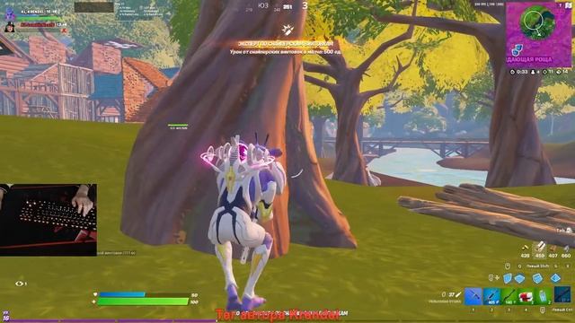 ФОРТНАЙТ ! ФОРТНАЙТ СТРИМ ! СТРИМ ФОРТНАЙТ ! FORTNITE ! СТРИМ ! АРЕНА ФОРТНАЙТ ! СТРИМ ПО ФОРТНАЙТ смотреть онлайн