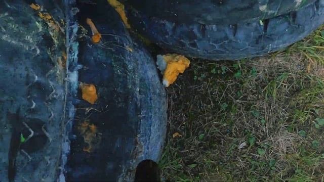 Биробиджан.Финал. смотреть онлайн