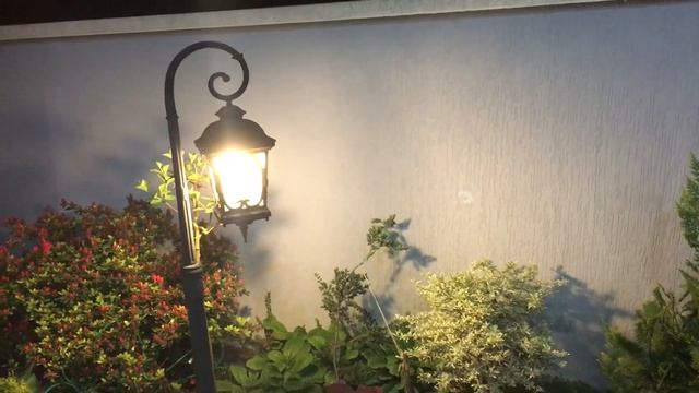 ФОНАРИКИ В САДУ! смотреть онлайн