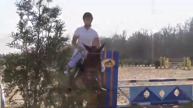 JVN Oefen jumping Woutershof 9-3-2014 смотреть онлайн