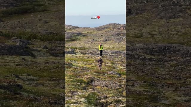 Самое прекрасное, что я видел в своих путешествиях смотреть онлайн