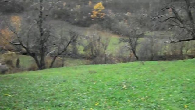 50.-S.- stećci reon.Duboćani Konjic..X смотреть онлайн