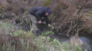Ставлю и проверяю капканы на бобра. Удача. Beaver Hunting