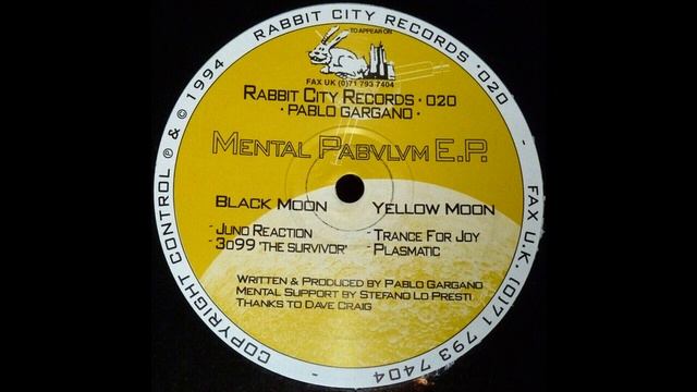 Pablo Gargano - 3099 The Survivor (Trance 1994) смотреть онлайн