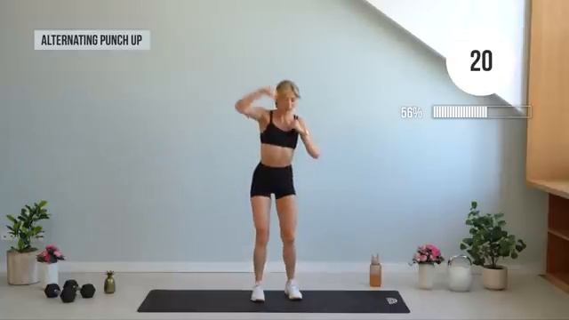 DAY 12 Back To Basics - 25 MIN NO JUMPING Workout - Bodyweight Only, Low Impact & Beginner Friendly