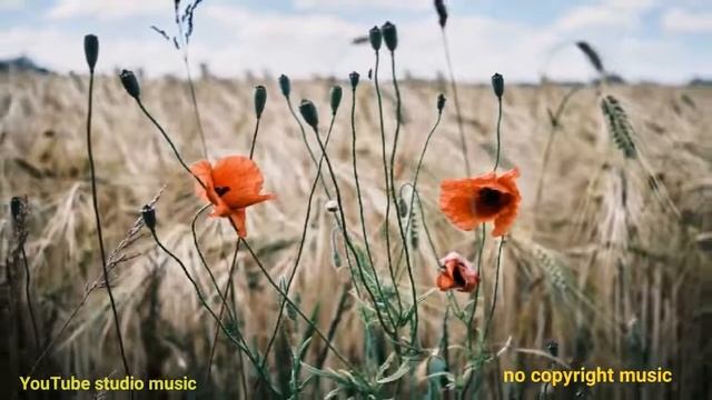 warzone- @Anno Domini Beats смотреть онлайн