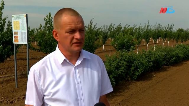 ВолГАУ: что нужно знать абитуриентам? смотреть онлайн
