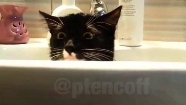 Когда слышишь какие-то звуки а ты один дома смотреть онлайн