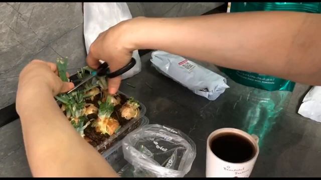 Меняю держатели на карнизе. Прогулки с Мишель (той-пуделю уже 5 месяцев). Конфеты из Дубая. смотреть онлайн