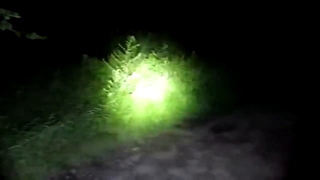 Налобный фонарь Boruit 5000