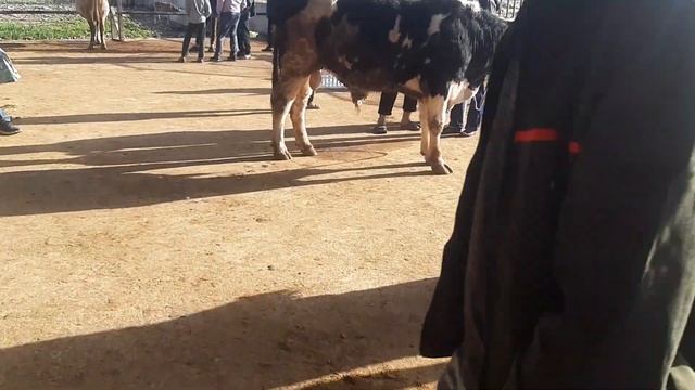 Молбозори Вахдат 27апрел