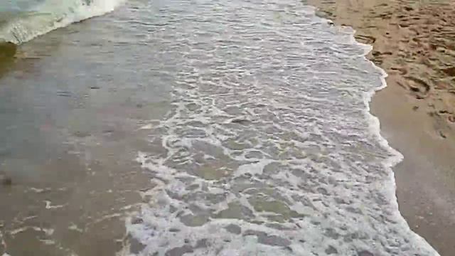 Новопетровка сегодня.обзор медуз.одна за весь день. смотреть онлайн