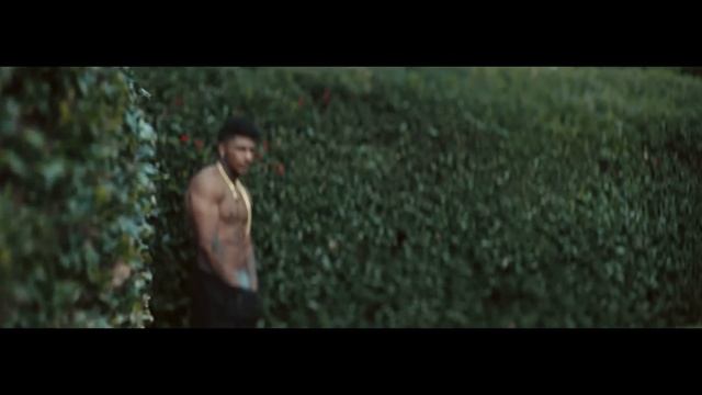 Emeli Sandé - Garden ft. Jay Electronica, Áine Zion смотреть онлайн