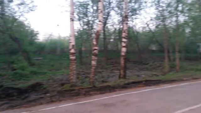 Новый вход в Аллею здоровья в Йошкар-Оле смотреть онлайн