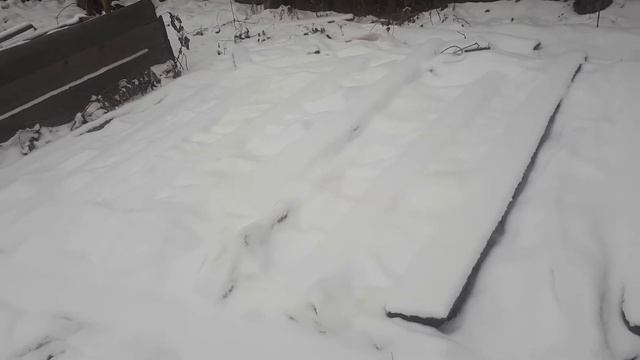 Малина под снегом. Пригород Улан-Удэ. Ноябрь 2020. смотреть онлайн